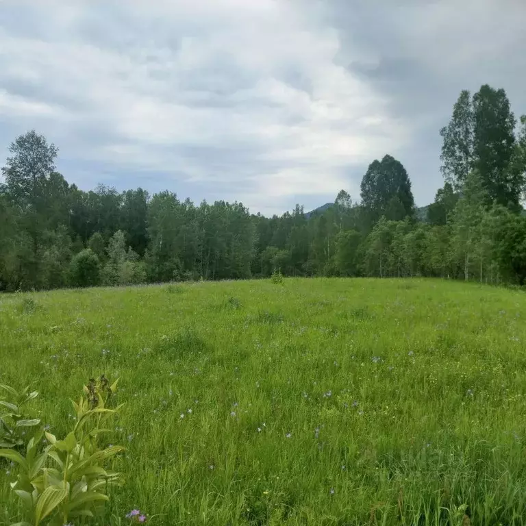 Участок в Алтай, Турочакский район, с. Турочак  (100.0 сот.) - Фото 1