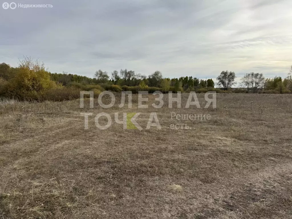 Участок в Самарская область, Кинель (13 м) - Фото 1