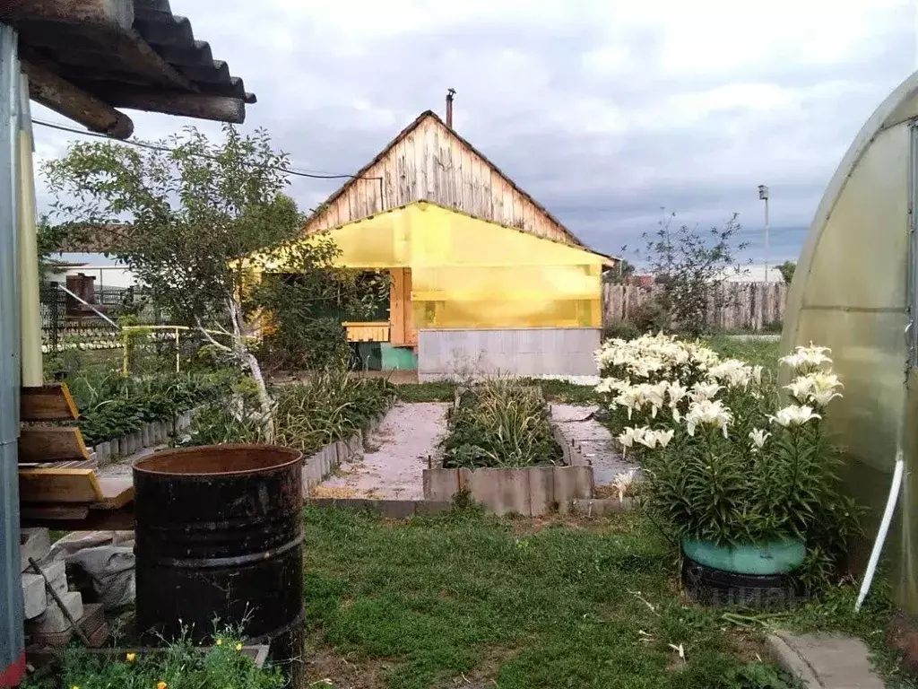 Участок в Самарская область, Шигонский район, с. Суринск Советская ... - Фото 1