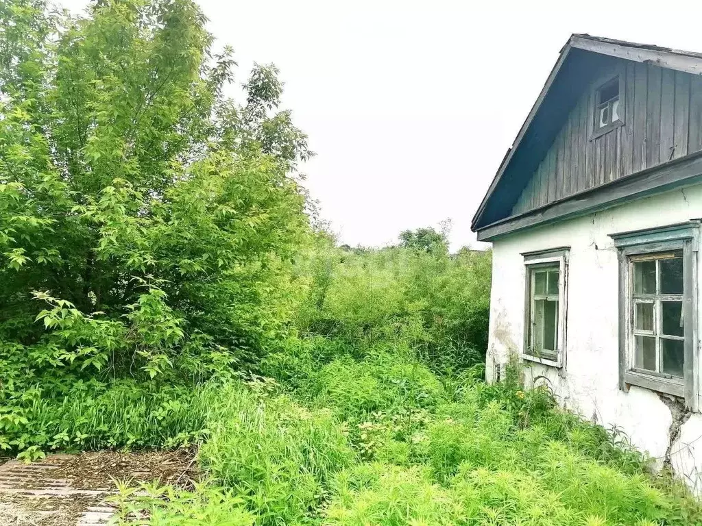 Участок в Приморский край, Надеждинский район, с. Вольно-Надеждинское ... - Фото 0