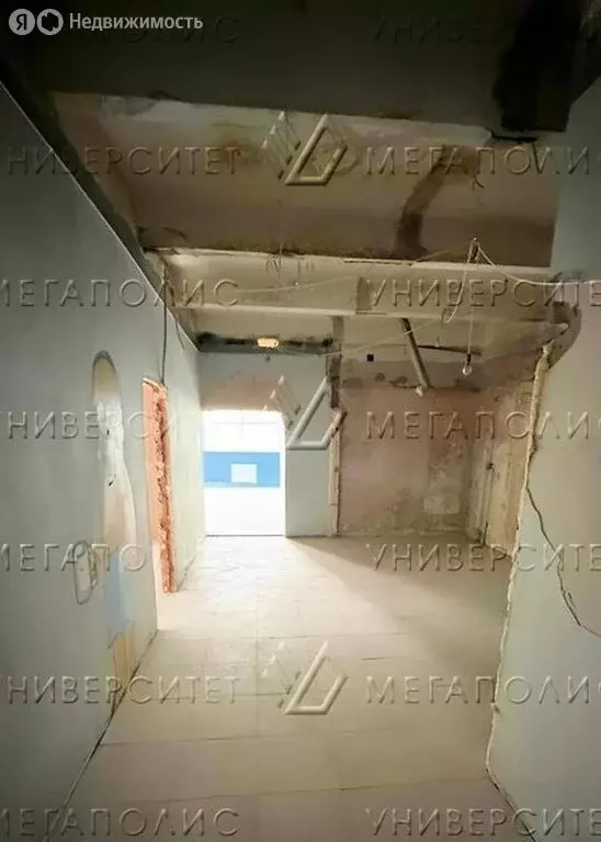 Помещение свободного назначения (210 м) - Фото 2