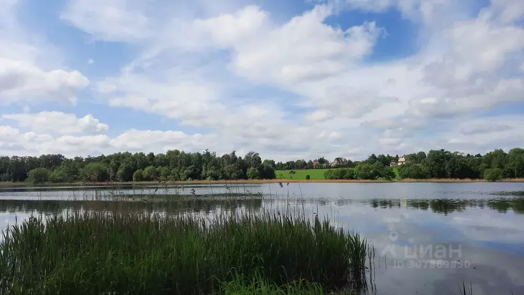 Участок в Московская область, Солнечногорск городской округ, д. ... - Фото 1