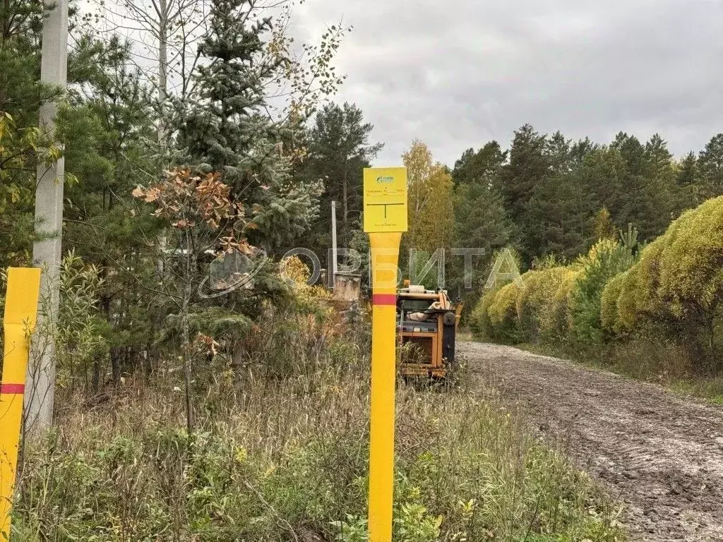 Участок в Тюменская область, Тюменский муниципальный округ, ... - Фото 2