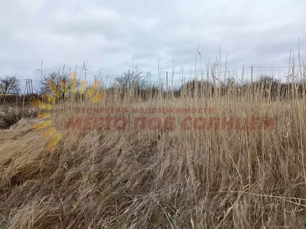 Участок в Краснодарский край, Ейское городское поселение, пос. ... - Фото 1