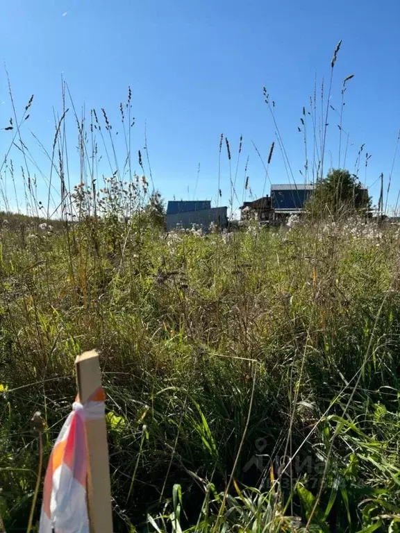 Участок в Томская область, Томский район, д. Поросино ул. Колодникова ... - Фото 2