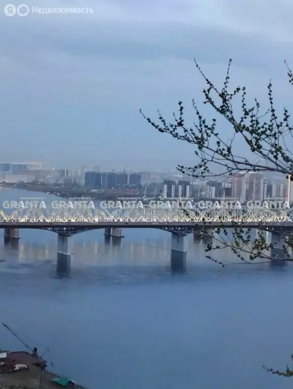 1-комнатная квартира: Красноярск, улица Борисова, 42 (25 м) - Фото 0