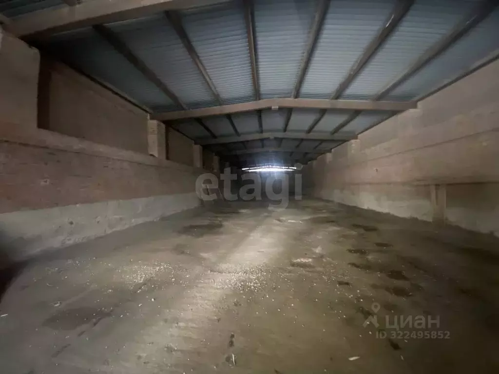 Склад в Вологодская область, Сямженский муниципальный округ, д. ... - Фото 2