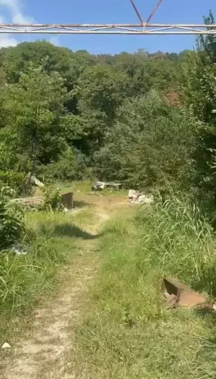 Участок в Краснодарский край, Сочи городской округ, с. Казачий Брод  ... - Фото 2