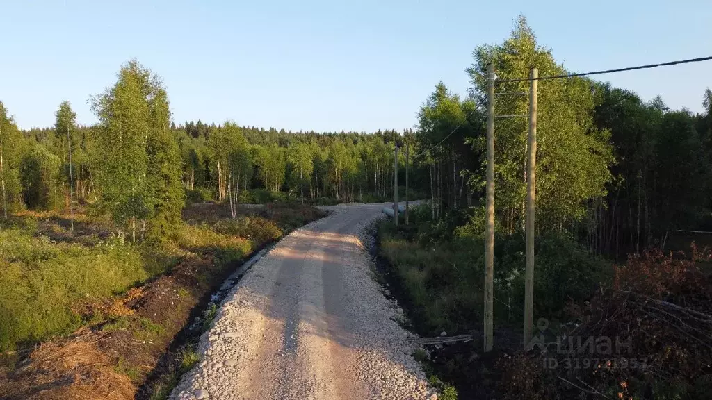 Участок в Ленинградская область, Приозерский район, Раздольевское ... - Фото 1