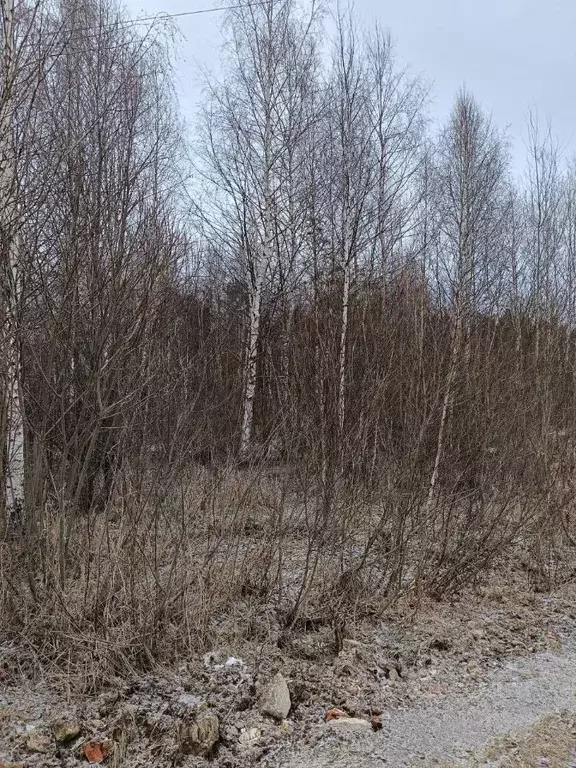 Участок в Московская область, Павлово-Посадский городской округ, д. ... - Фото 0