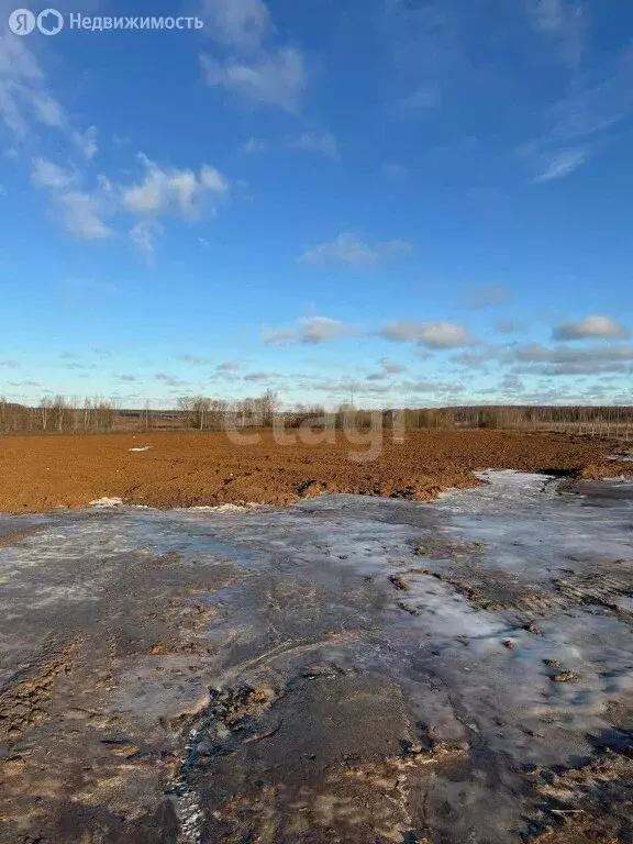 Участок в Московская область, городской округ Подольск, деревня ... - Фото 0