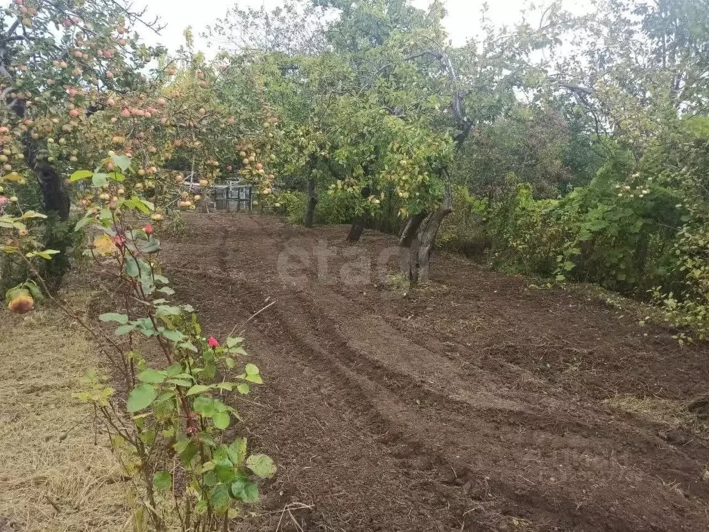 Участок в Калининградская область, Калининград Мелиоратор СНТ, ул. ... - Фото 1