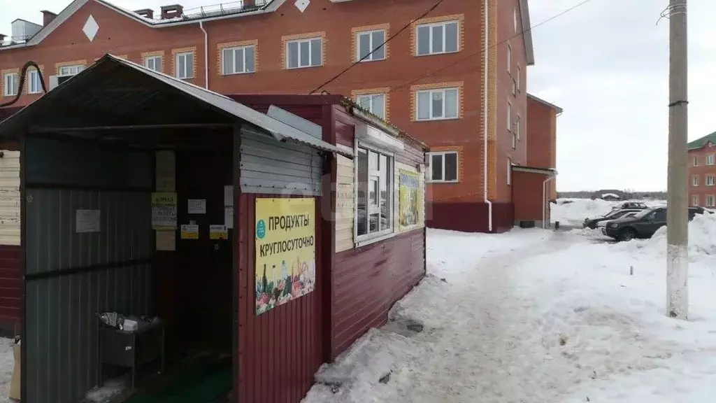 Торговая площадь в Новосибирская область, Бердск Черемушная ул., 53к1А ... - Фото 1
