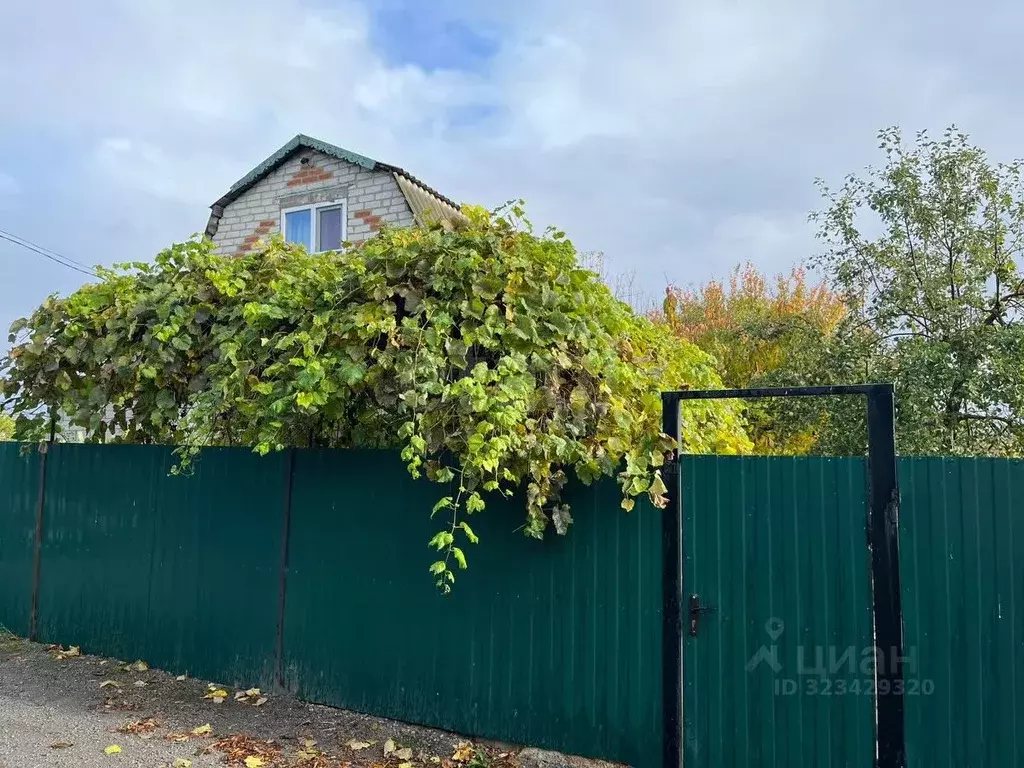 Дом в Белгородская область, Алексеевский муниципальный округ, Луч СНТ ... - Фото 1