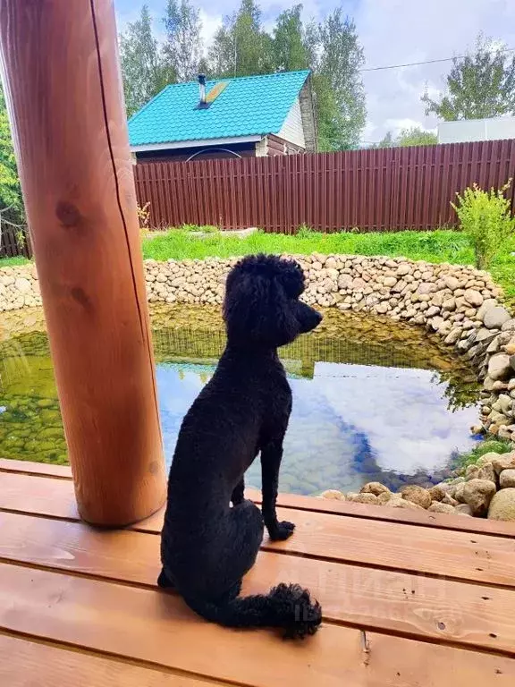 Дом в Ленинградская область, Гатчинский муниципальный округ, Учхоз ... - Фото 1