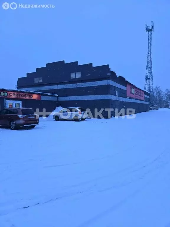 Помещение свободного назначения (353 м) - Фото 2