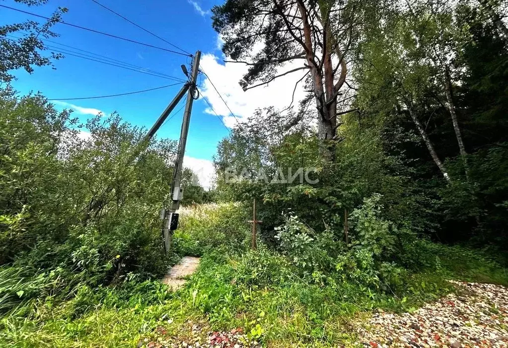 Участок в Калужская область, Малоярославецкий район, Коллонтай с/пос, ... - Фото 1