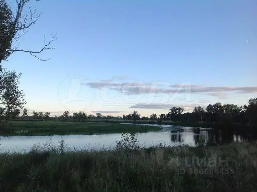 Участок в Тюменская область, Тюменский район, д. Пышма Озерная ул. ... - Фото 0