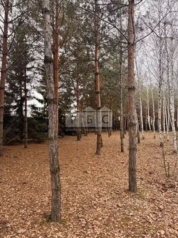 Участок в Саратовская область, Саратов ул. Имени Е.Г. Челиева, 10 ... - Фото 0