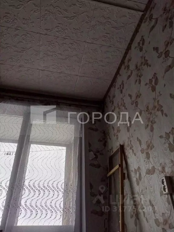 1-к кв. Алтайский край, Новоалтайск Октябрьская ул., 25а (20.0 м) - Фото 0
