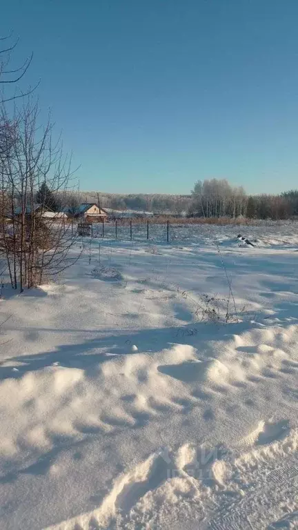 Участок в Новосибирская область, Черепановский район, с. Ярки Заречная ... - Фото 1