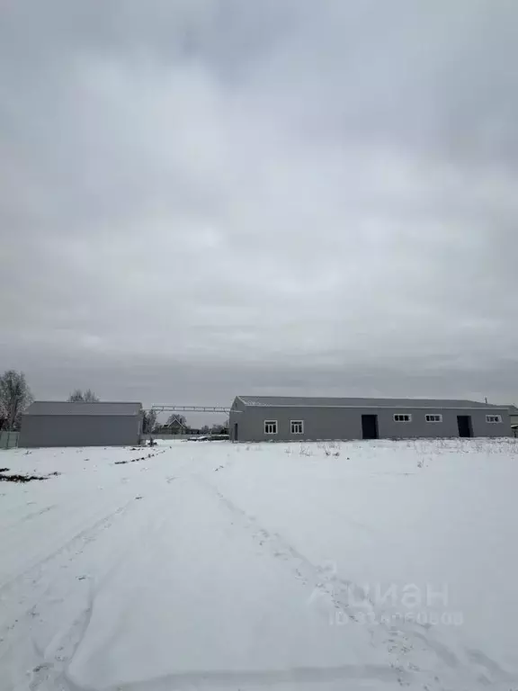 Помещение свободного назначения в Нижегородская область, Балахнинский ... - Фото 1