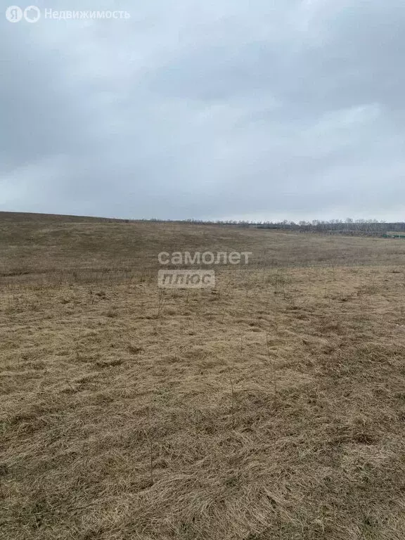 Участок в Тюменяк, Луговая улица, 5 (8 м) - Фото 0