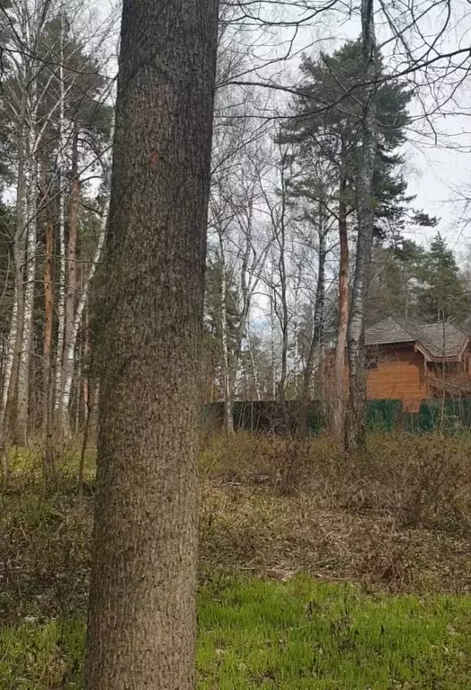 Участок в Московская область, Истра городской округ, Павловский Лес кп ... - Фото 0