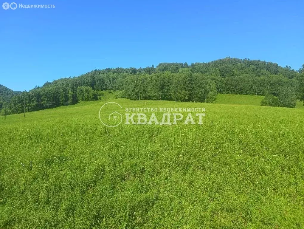 Участок в Майминский район, село Бирюля (40 м) - Фото 1