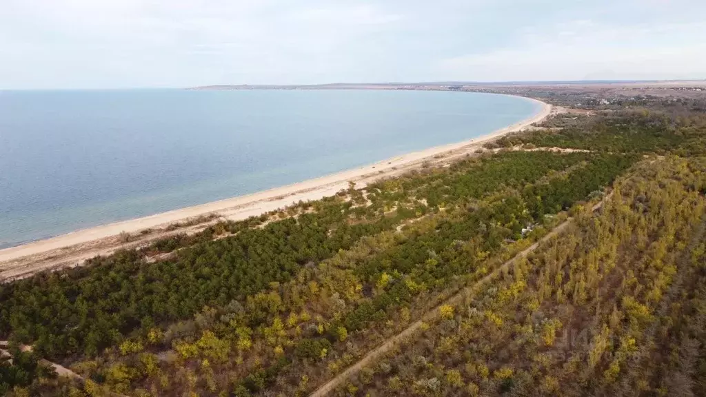 Участок в Крым, Ленинский район, Останинское с/пос  (10.0 сот.) - Фото 2