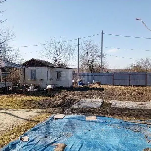 Участок в Брянская область, Брянский район, Снежское с/пос, с. ... - Фото 2