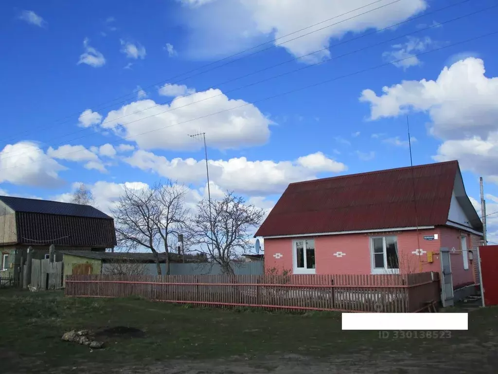 Дом в Омская область, Омский район муниципальный округ, д. Нижняя ... - Фото 2