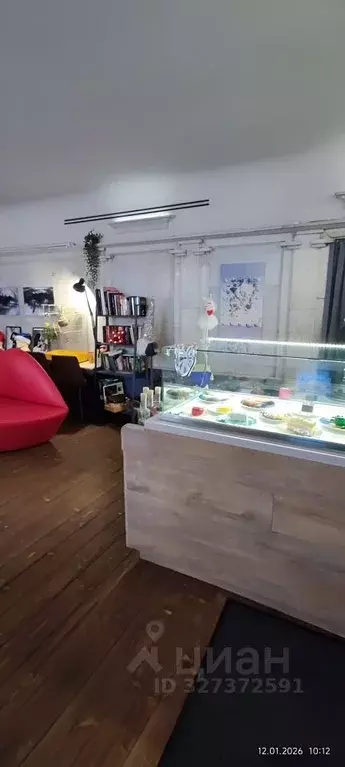 Помещение свободного назначения в Санкт-Петербург Суворовский просп., ... - Фото 2