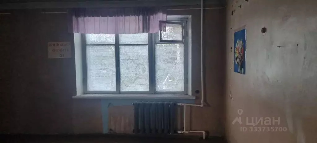 Помещение свободного назначения в Камчатский край, Елизовский ... - Фото 2