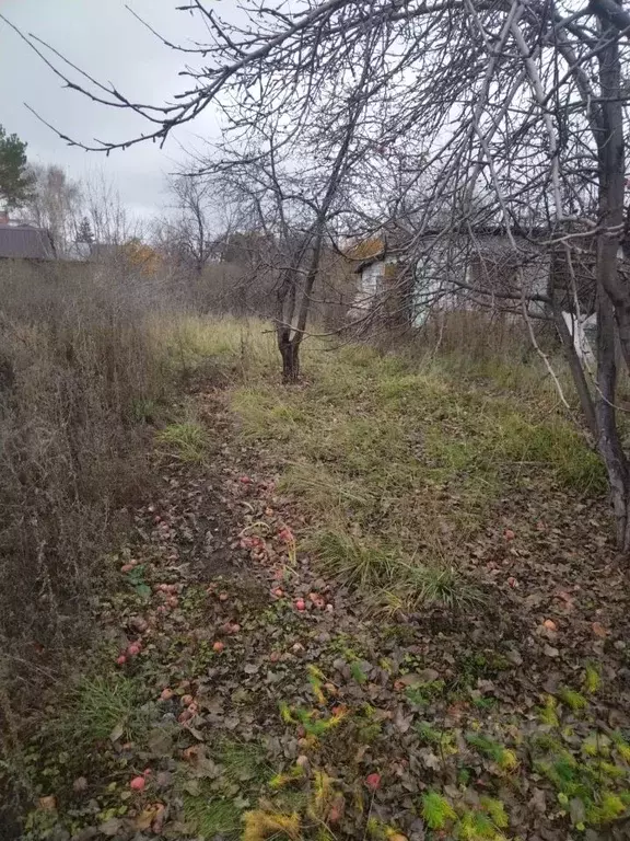 Участок в Самарская область, Самара Оршанский пер., 12 (7.69 сот.) - Фото 1