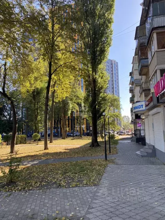 Помещение свободного назначения в Воронежская область, Воронеж ул. ... - Фото 2