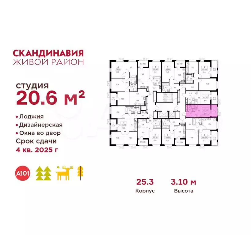 Квартира-студия, 20,6 м, 8/17 эт. - Фото 1