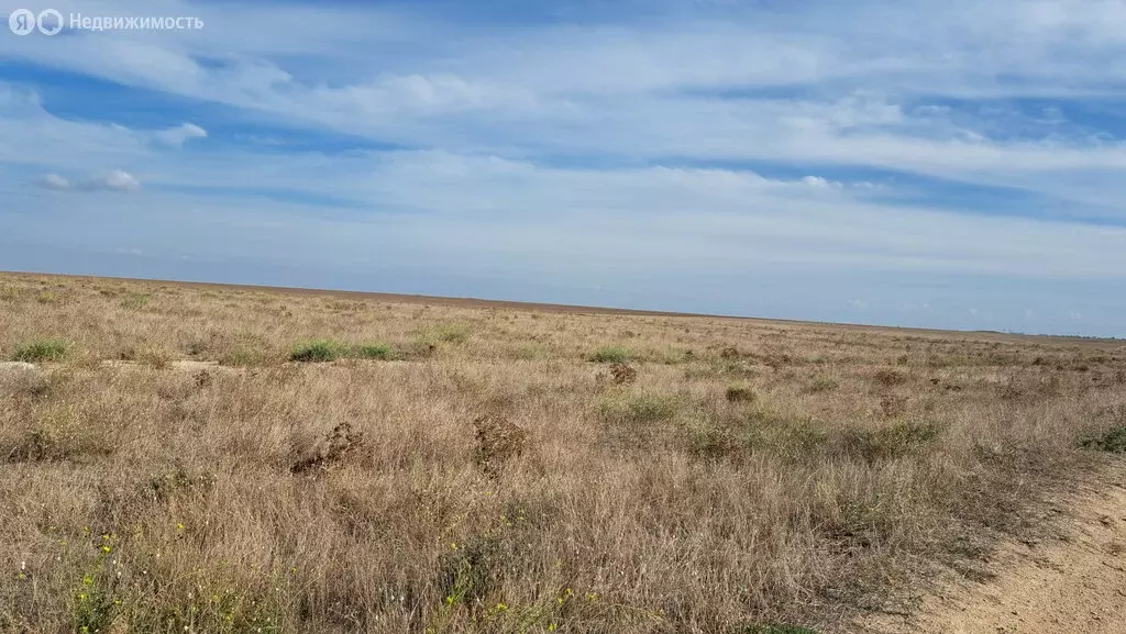 Участок в Сакский район, село Ромашкино (6 м) - Фото 0