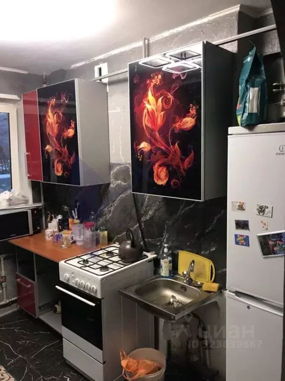 1-к кв. Нижегородская область, Нижний Новгород ул. Даргомыжского, 28 ... - Фото 1