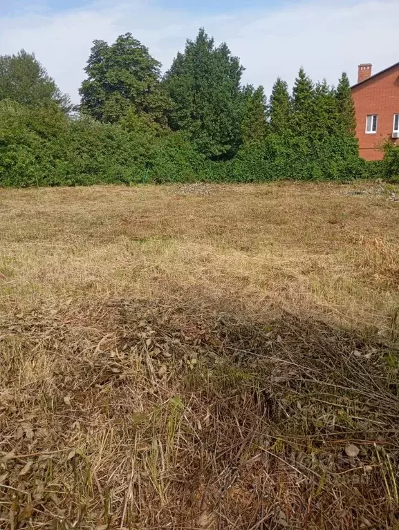 Участок в Нижегородская область, Нижний Новгород Александровская сл., ... - Фото 0