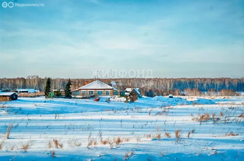 Участок в село Шипуново, Набережная улица (47.09 м) - Фото 0