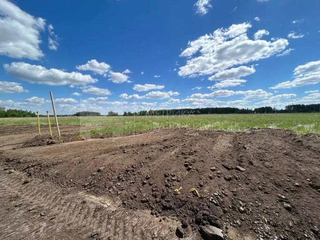 Участок в Тюменская область, Тюменский муниципальный округ, ... - Фото 1