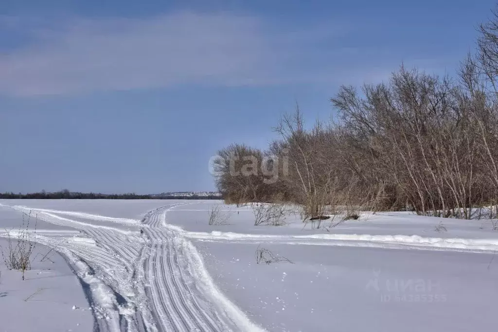 Участок в Алтайский край, Красногорский район, с. Березовка ул. ... - Фото 1