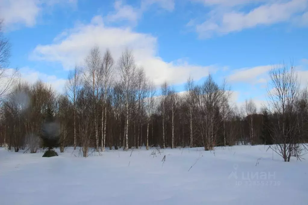 Участок в Московская область, Шаховская муниципальный округ, д. ... - Фото 1