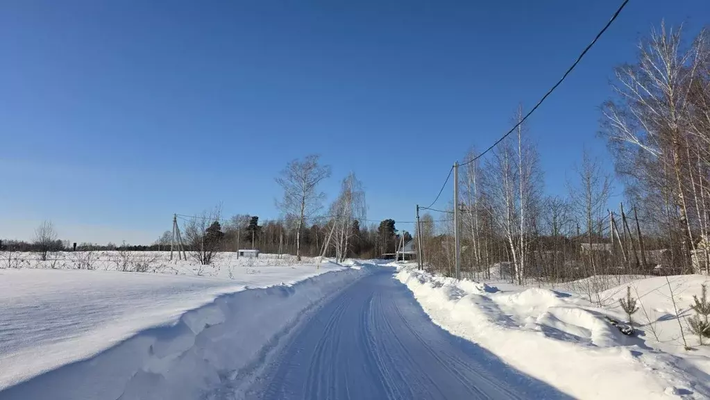 Участок в Томская область, Томский район, с. Кафтанчиково пер. ... - Фото 2