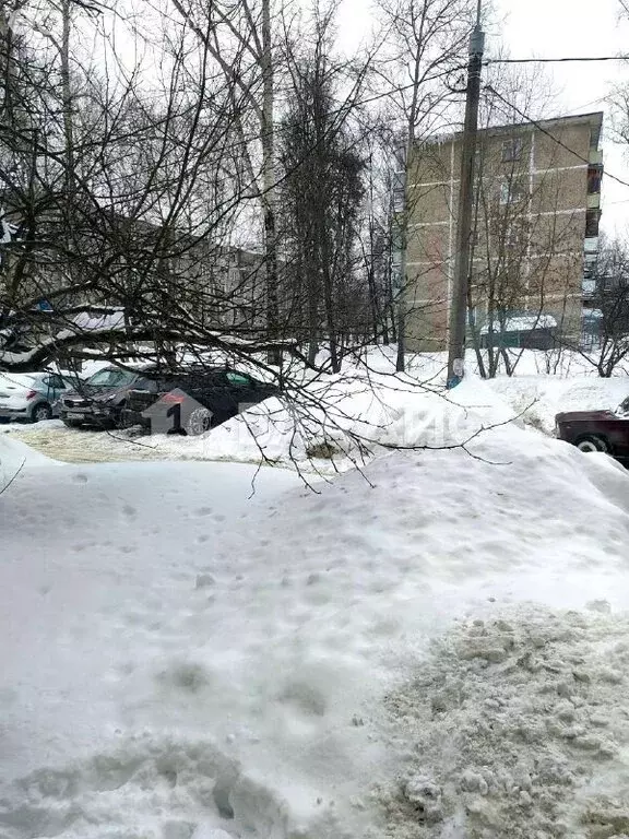 1-комнатная квартира: Электросталь, Южный проспект, 15к1 (31 м) - Фото 1