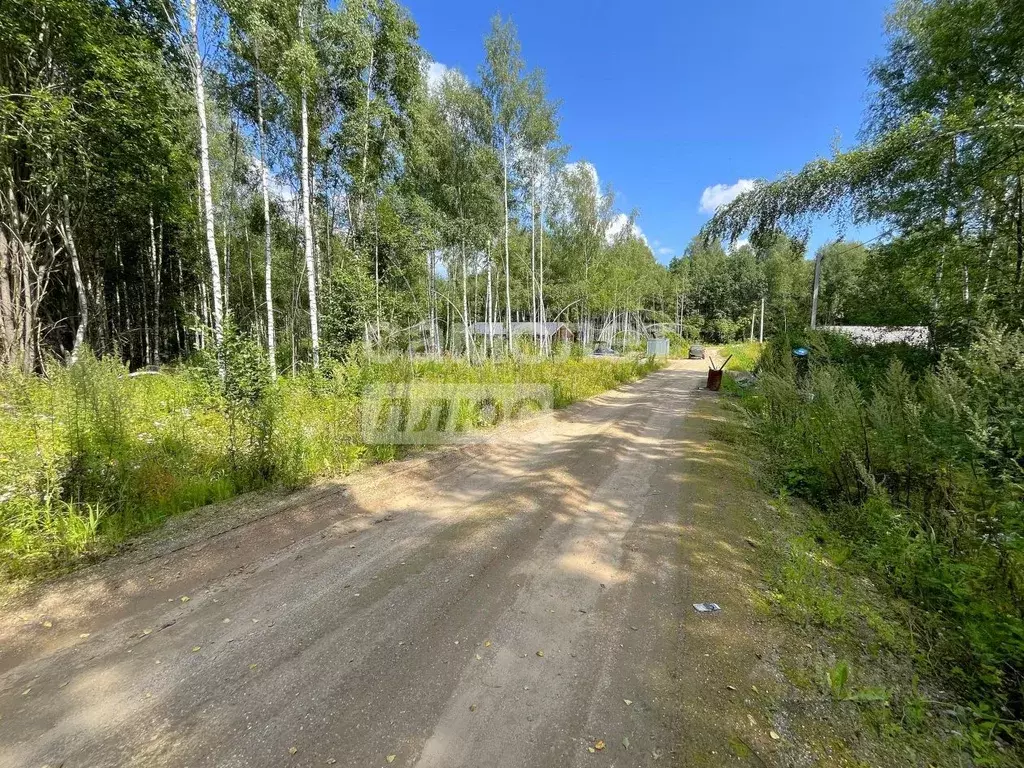 Участок в Ярославская область, Переславль-Залесский муниципальный ... - Фото 2
