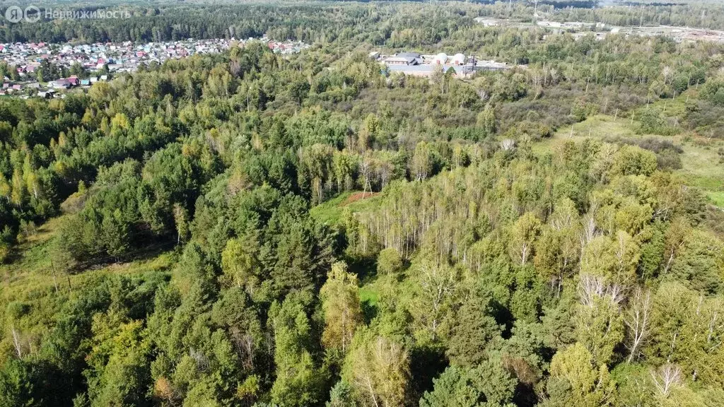 Участок в Томск, поселок Кузовлево, Пионерская улица, 15/8 (15 м) - Фото 1