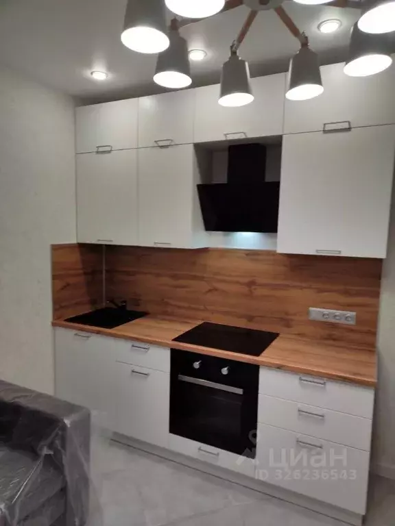 1-к кв. Краснодарский край, Краснодар ул. Красных Партизан, 1/4к15 ... - Фото 2