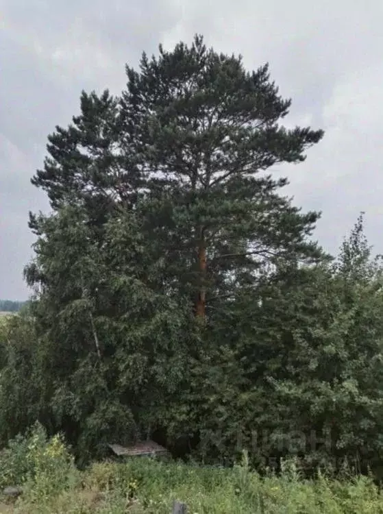 Дом в Иркутская область, Иркутский муниципальный округ, Скала СНТ ул. ... - Фото 1